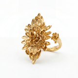 ANILLO ORIGIN