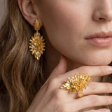 ANILLO ORIGIN