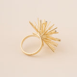 ANILLO ECHINUS CON CIRCONITA