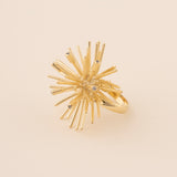 ANILLO ECHINUS CON CIRCONITA