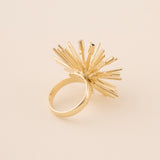 ANILLO ECHINUS CON CIRCONITA NEGRA