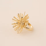 ANILLO ECHINUS CON CIRCONITA NEGRA