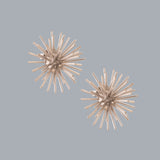 PENDIENTES ECHINUS SILVER