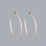 PENDIENTES RO SILVER